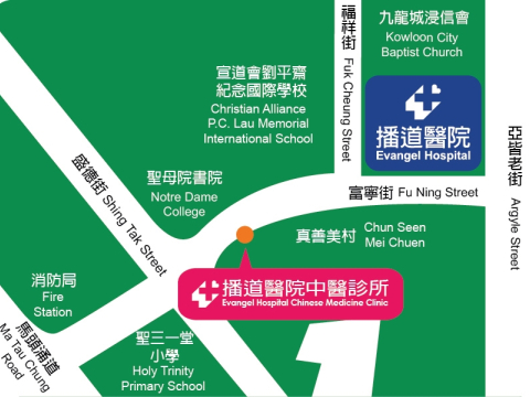 香港九龍城富寧街真善美村至真樓地下45號舖地圖