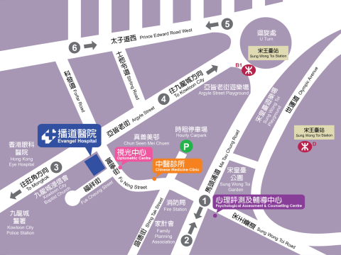 website all map-02