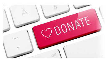 Online donation button